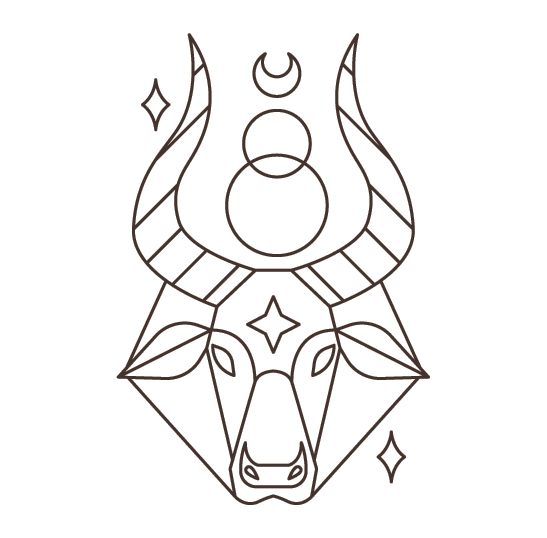 taurus light